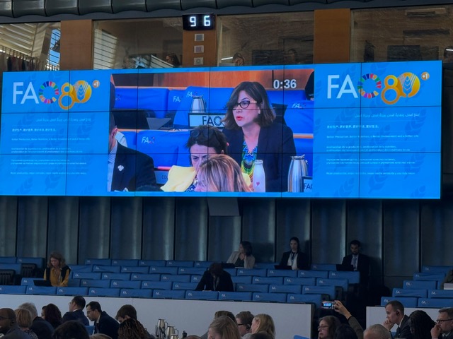 Colombia participa activamente en el 181⁰ período de sesiones del Consejo de la FAO