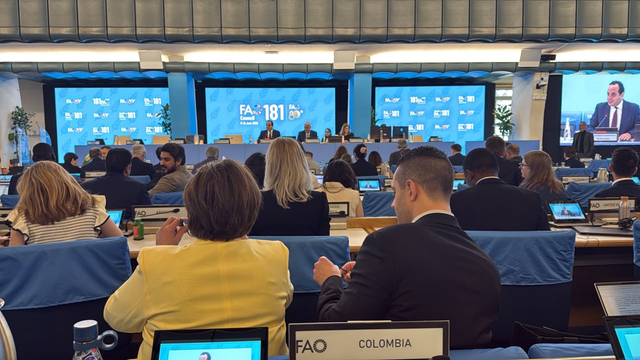 Colombia participa activamente en el 181⁰ período de sesiones del Consejo de la FAO