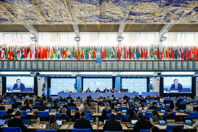 FAO/Giuseppe Carotenuto
