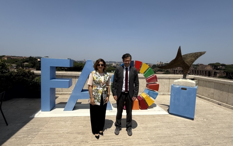 Viceministro de Asuntos Multilaterales Mauricio Jaramillo reforzó relaciones en Roma con FAO, FIDA y PMA 