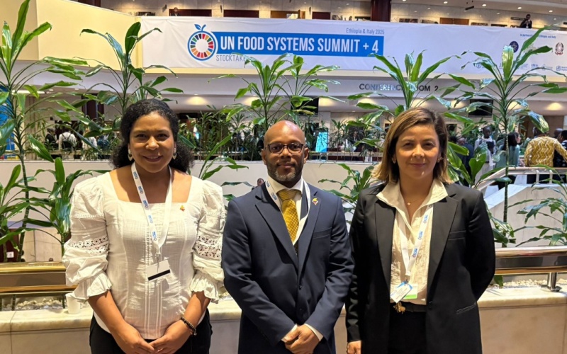 Colombia presente en Etiopia en la Cumbre de Sistemas Alimentarios de las Naciones Unidas del 28 al 29 de julio de 2025